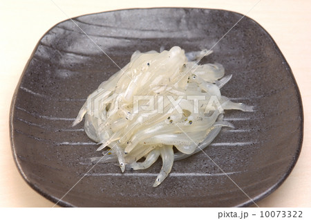 おいしい白魚 10073322