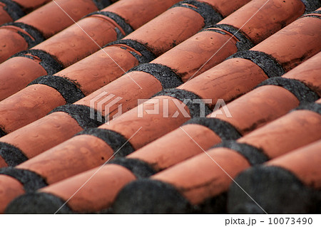 赤瓦 赤瓦 10073490