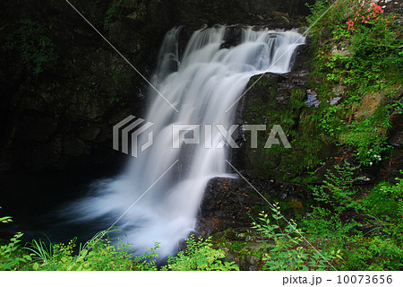 つたの滝（長野県根羽村） 10073656