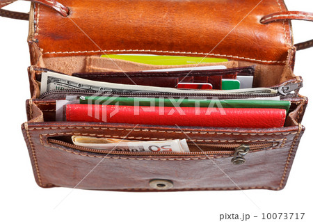 cash, credit cards, documents in small open purse cash, credit cards, documents in small open purse 10073717