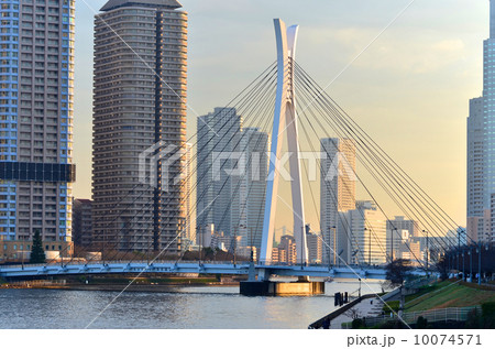 夕暮れの中央大橋 夕暮れの中央大橋 10074571