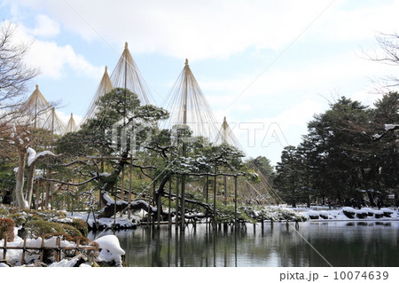 冬の兼六園(唐崎松雪吊り) 冬の兼六園(唐崎松雪吊り) 10074639