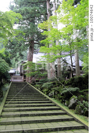 福井県　永平寺の風景（夏） 10074642