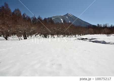 雪の光徳沼 10075217