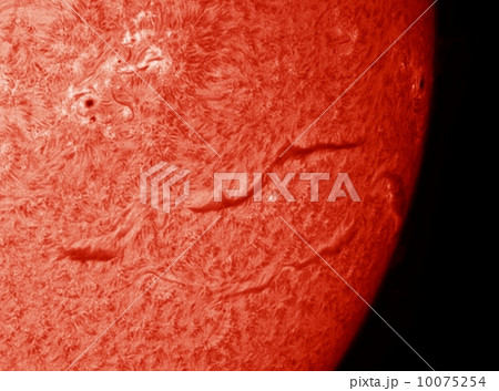 太陽 10075254
