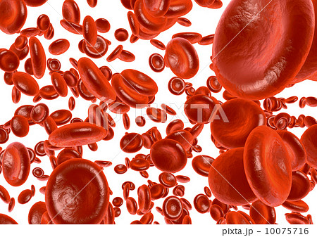 ヘモグロビン 10075716