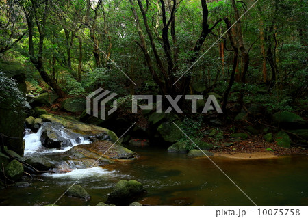 自然 自然 10075758