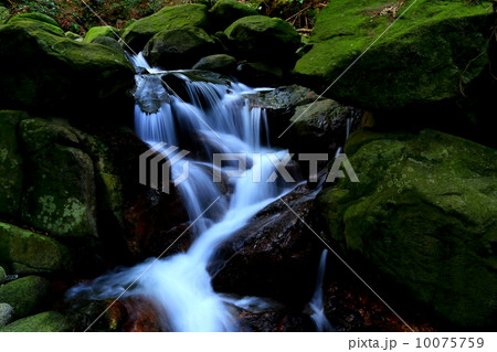 ながれ ながれ 10075759