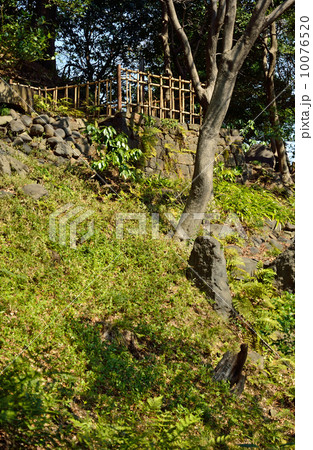 小石川後楽園・清水観音堂跡 10076520