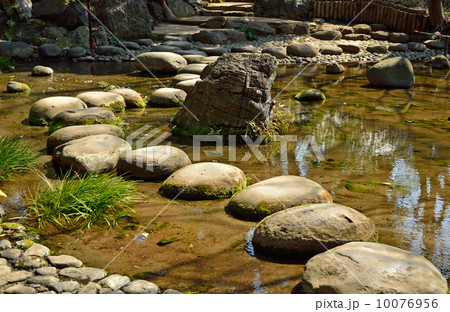 小石川後楽園・沢渡り 10076956