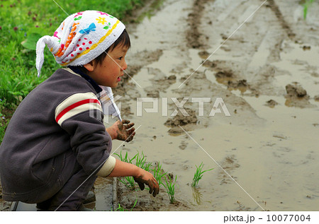 子供の田植え風景 10077004