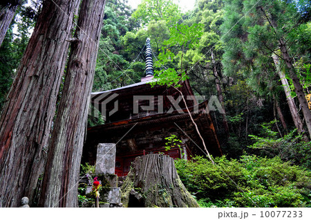 佐渡の長谷寺 10077233