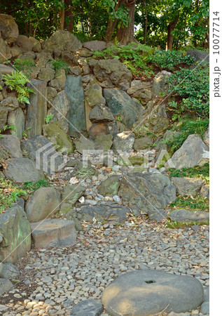 小石川後楽園・枯滝 小石川後楽園・枯滝 10077714