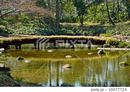 小石川後楽園・有楽椿 10077724