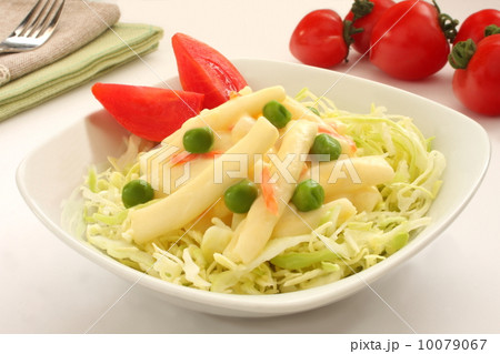 マカロニサラダ　サラダ　朝食　白背景 10079067