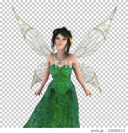 fairy 10080414