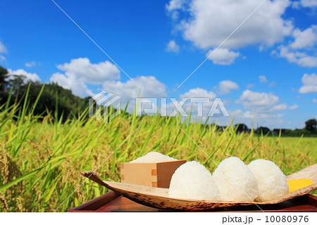 青空に映えるおにぎりと田んぼの稲 10080976