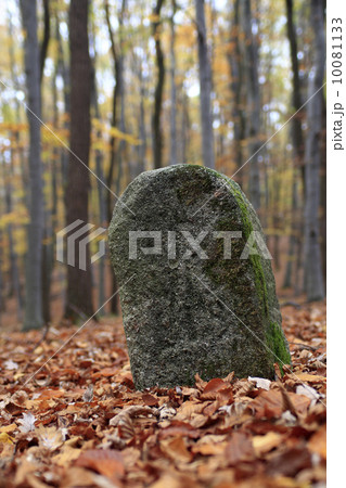 Old Boundary Stone 10081133