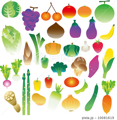 野菜・果物セット 10081619