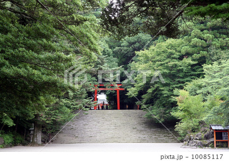 霧島神宮 霧島神宮 10085117