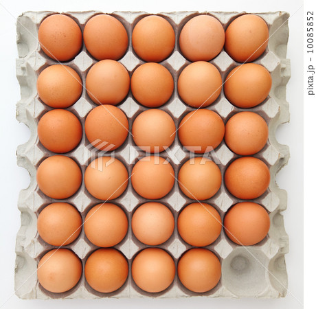 Brown chicken egg 10085852