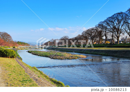 Kamo River in Japan 10086213