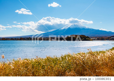 Mt. Fuji and lake Mt. Fuji and lake 10086301