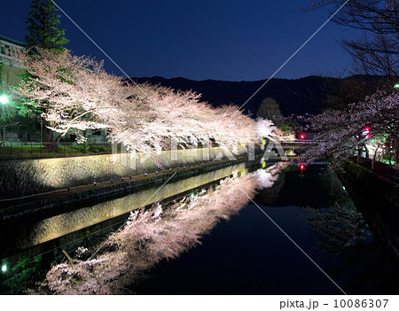 Biwa lake canal with sakura tree at night Biwa lake canal with sakura tree at night 10086307