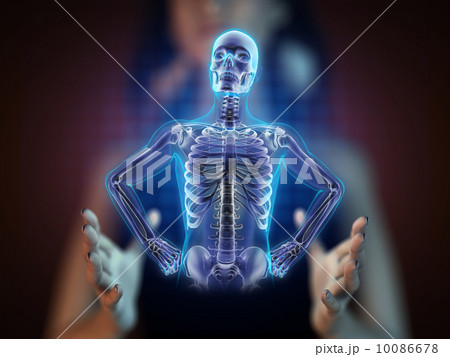 human radiography scan on hologram human radiography scan on hologram 10086678