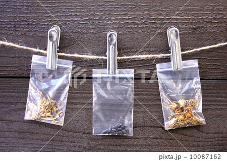 種蒔き準備 10087162