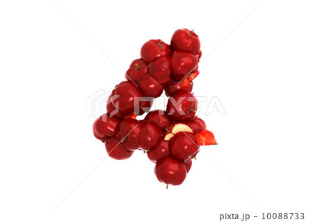 Apple symbol 4 on white background Apple symbol 4 on white background 10088733