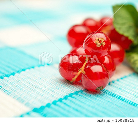 Fresh red currant berries on tablecloth 10088819