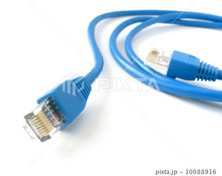 network cable 10088916