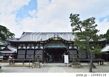 御香宮神社 10089116