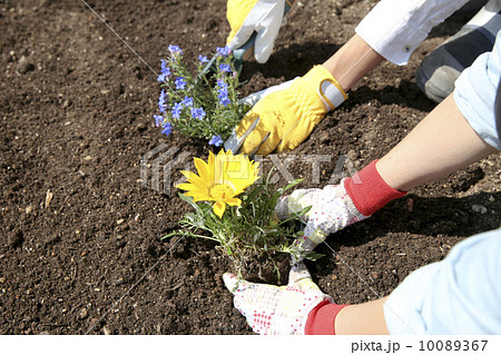 ガーデニング ガーデニング 10089367