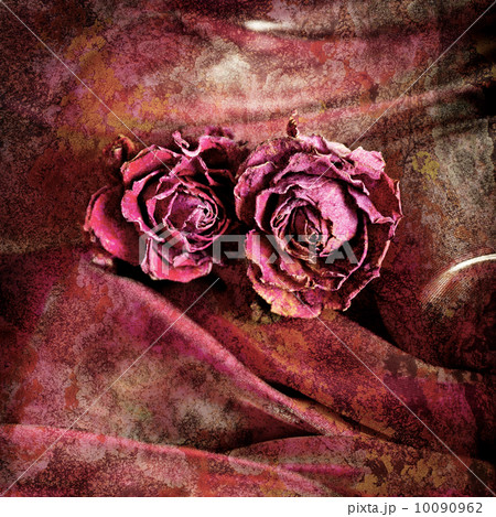 Grunge background in vintage style. Dry rose flower on satin Grunge background in vintage style. Dry rose flower on satin 10090962