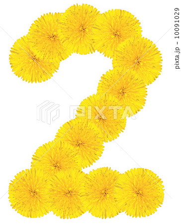 Number 2 made from dandelion flower Number 2 made from dandelion flower 10091029