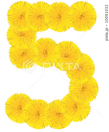 Number 5 made from dandelion flower Number 5 made from dandelion flower 10091032