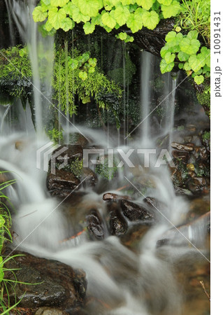 川の石にかかる水のシャワー 川の石にかかる水のシャワー 10091431