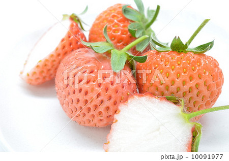 桃薫♪ 桃薫♪ 10091977