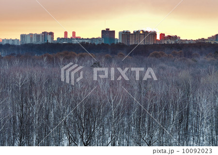 Early yellow dawn over snowy city park Early yellow dawn over snowy city park 10092023