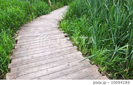 Old planked footway Old planked footway 10094289