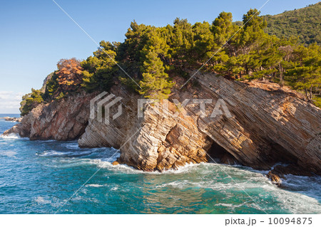 Coastal rocks with pine trees. Adriatic Sea, Montenegro Coastal rocks with pine trees. Adriatic Sea, Montenegro 10094875