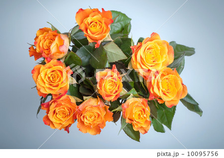 Bouquet of red and yellow roses flowers top view above light blue background 10095756