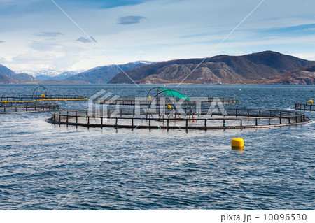 Norwegian fish farm for salmon growing in open sea water 10096530