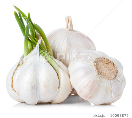 garlic 10098872