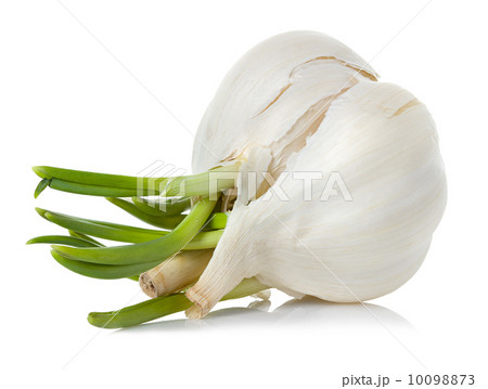 garlic 10098873