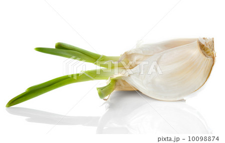 garlic 10098874