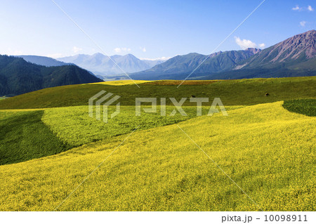 山脈 山岳 丘 10098911