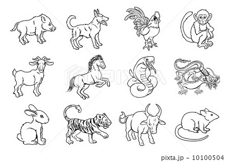 Chinese Zodiac Signs 10100504
